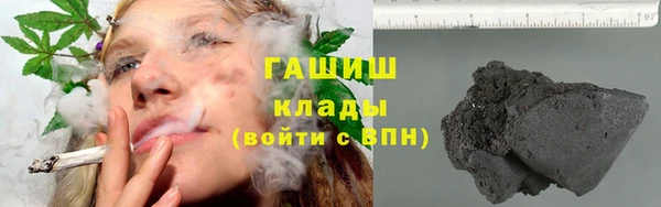 стаф Арсеньев