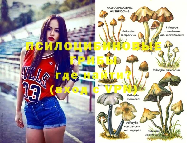 мяу мяу мука Аркадак