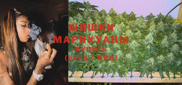 стаф Арсеньев