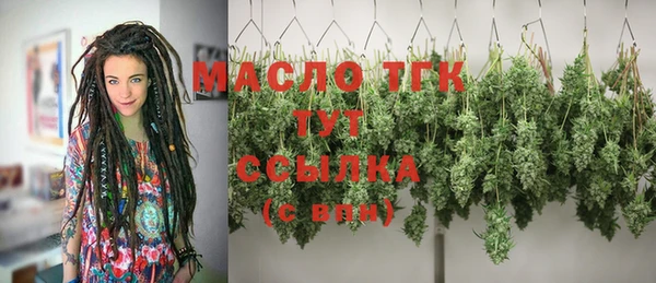 стаф Арсеньев
