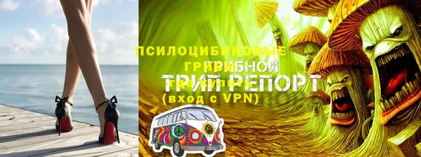мяу мяу мука Аркадак