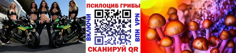 Псилоцибиновые грибы Psilocybine cubensis  Асбест 